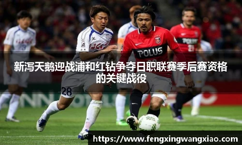 ob电竞官方网站